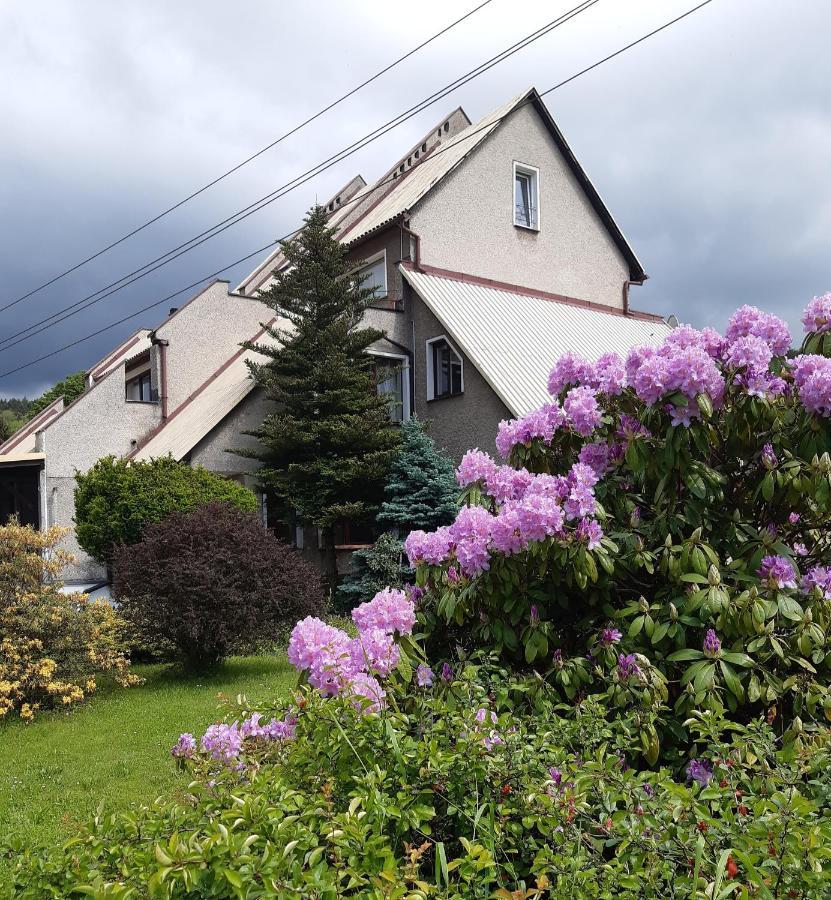 Villa Kaprys Kudowa-Zdrój Exterior foto